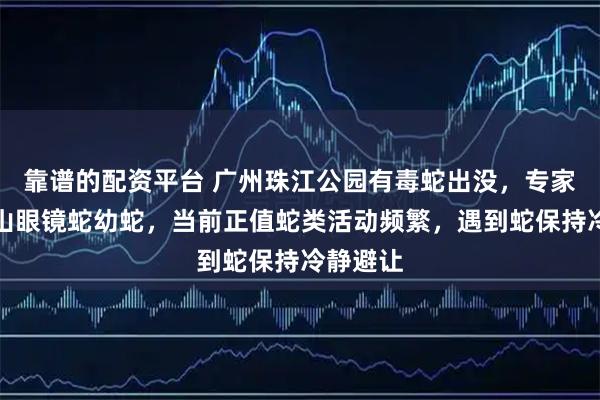 靠谱的配资平台 广州珠江公园有毒蛇出没，专家：为舟山眼镜蛇幼蛇，当前正值蛇类活动频繁，遇到蛇保持冷静避让